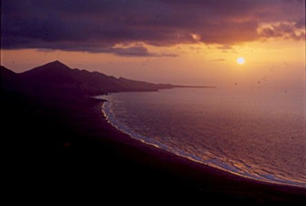 FOTO COFETE FUERTEVENTURA
