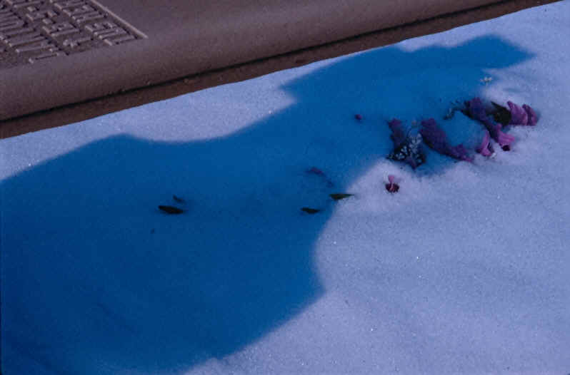 Foto de Paca Arceo �